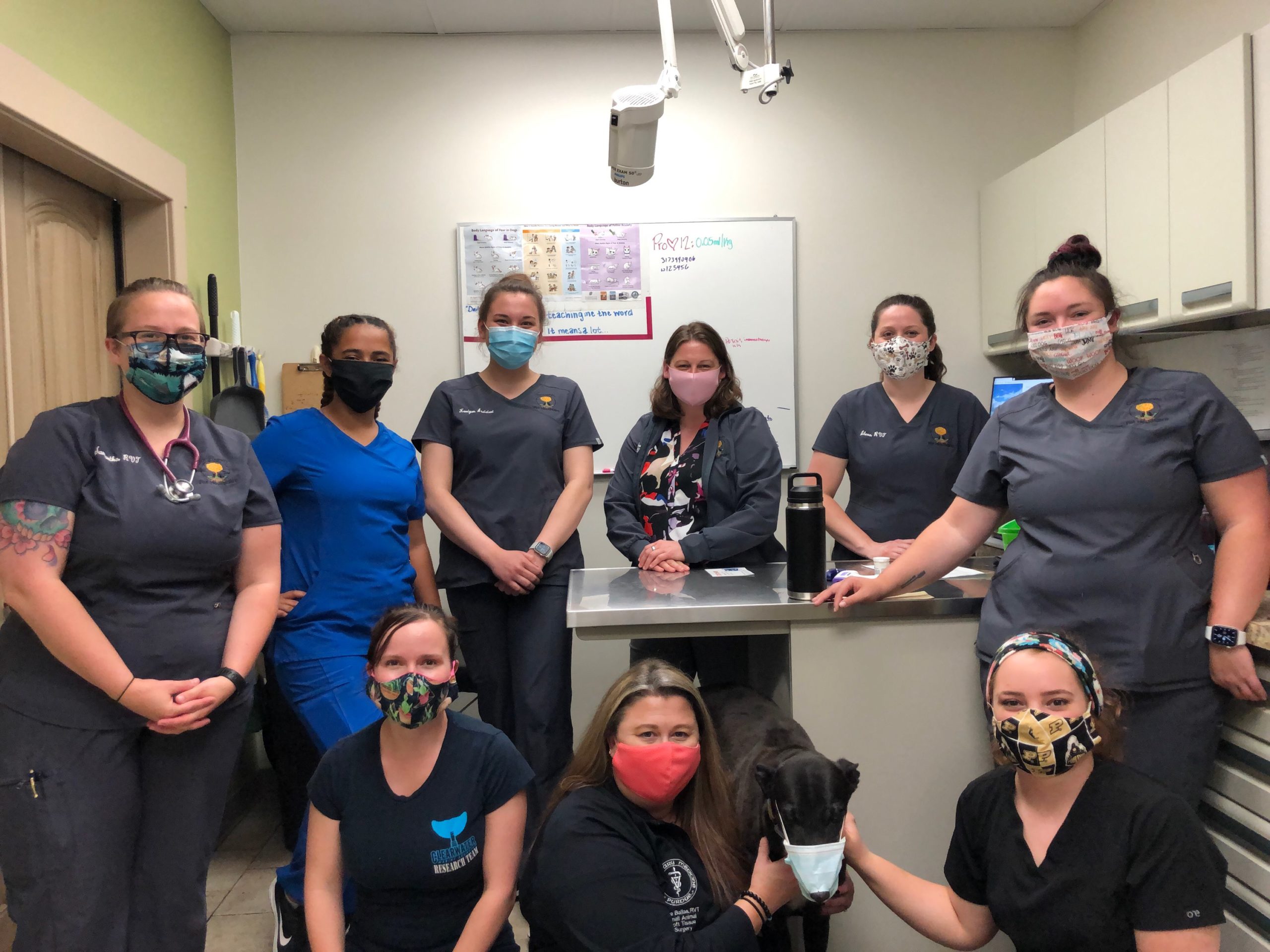 COVID19 POLICIES Community Pet Healthcare